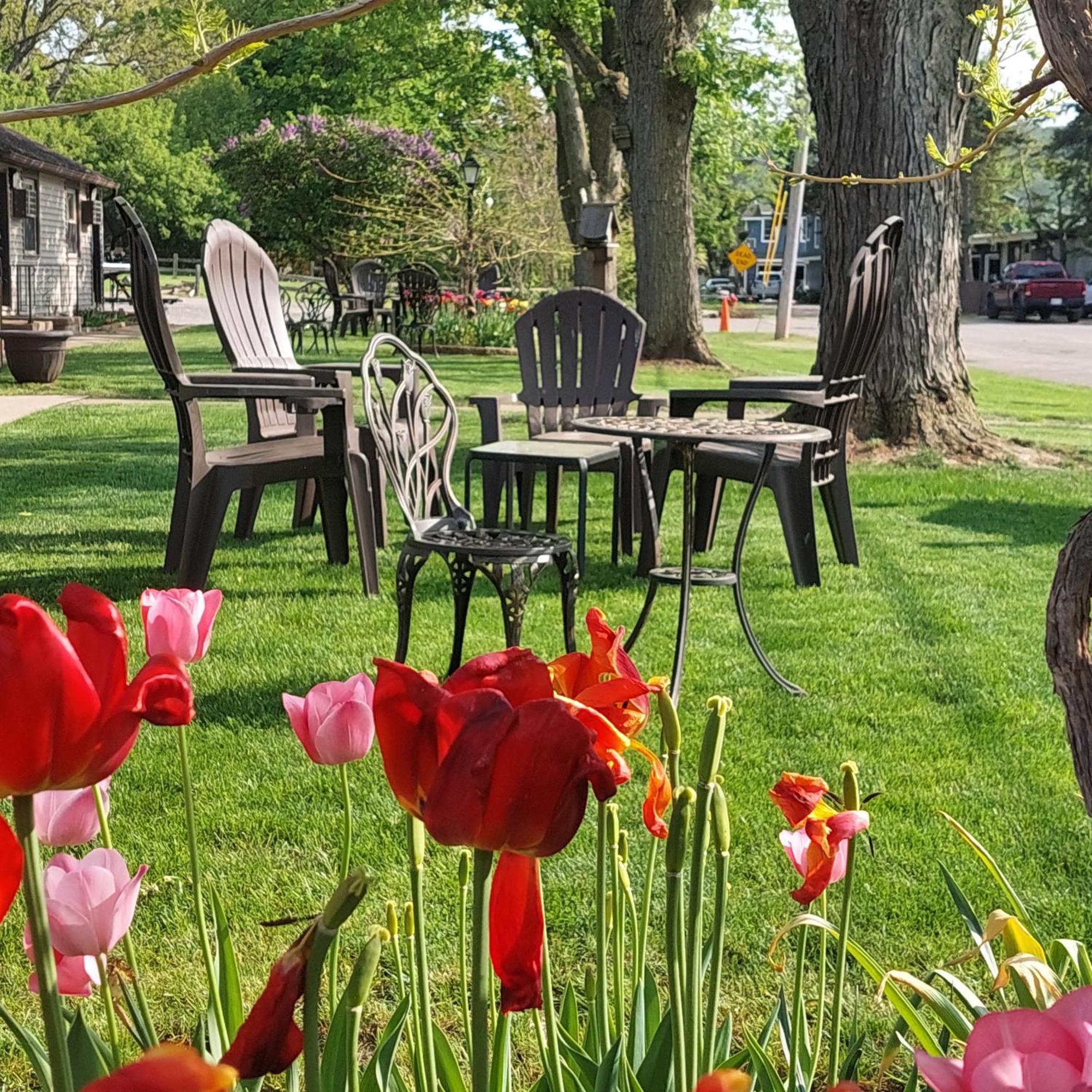 Riverside Motel Льюістон Екстер'єр фото